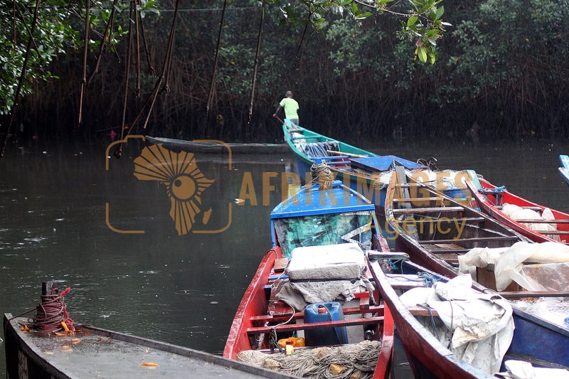 Afrikimages pêche