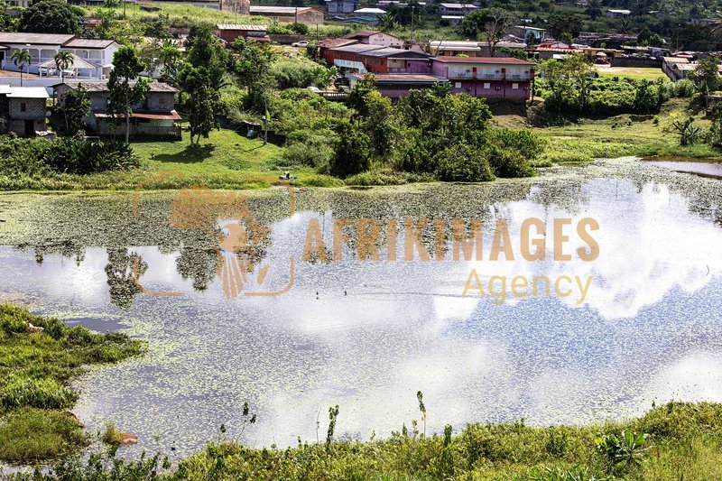 Afrikimages oyem028