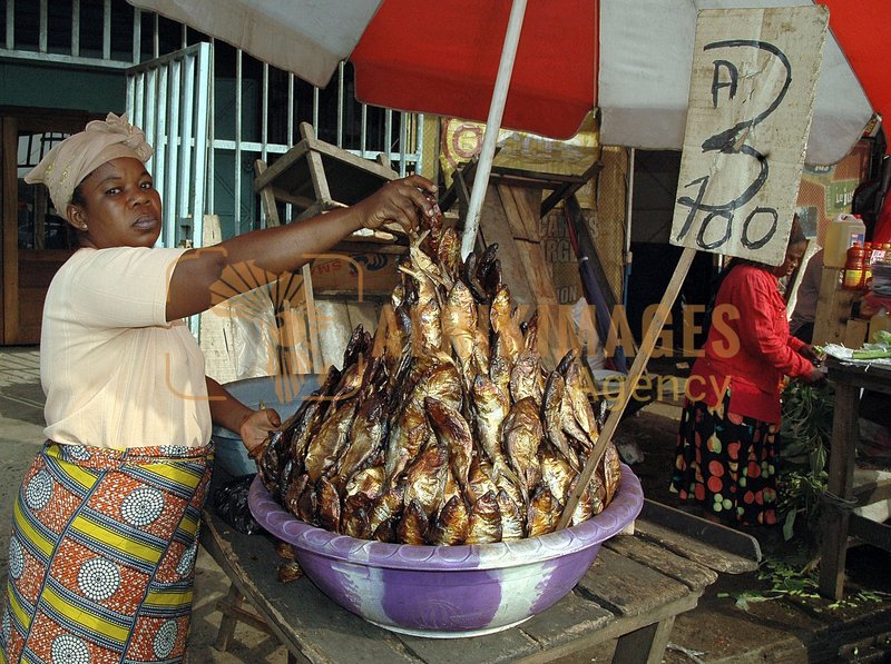 Afrikimages gabon /macro-économie