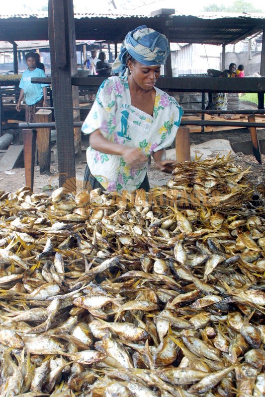 Afrikimages gabon /macro-économie