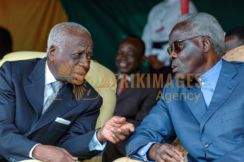 Afrikimages dip00740