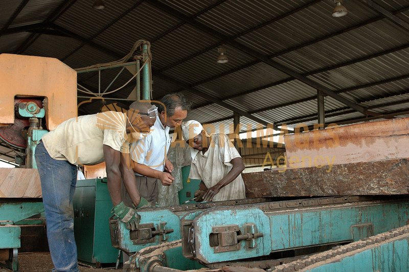 Afrikimages gabon / bois
