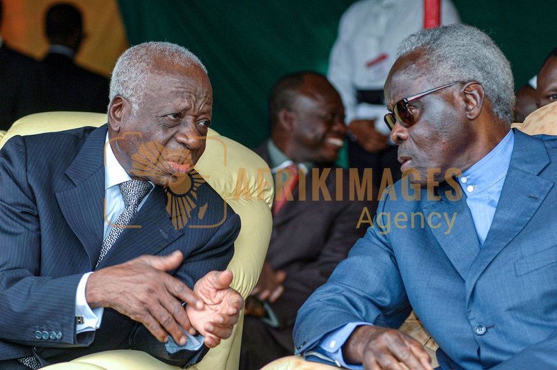 Afrikimages dip00741