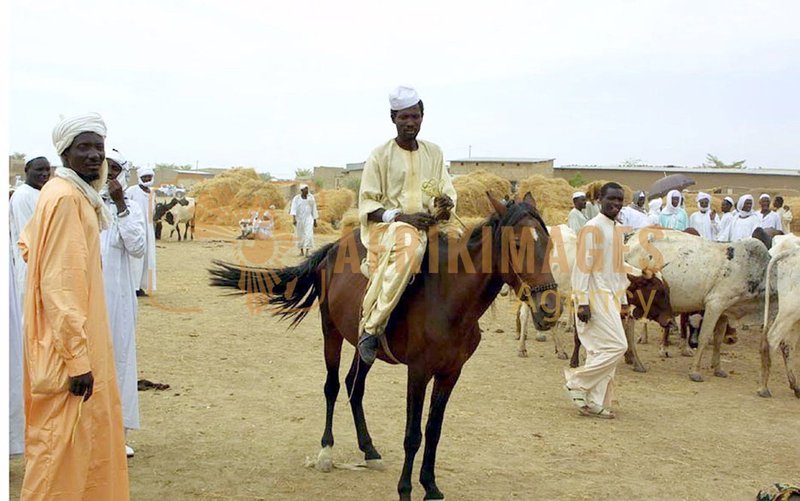 Afrikimages tchad /marchés