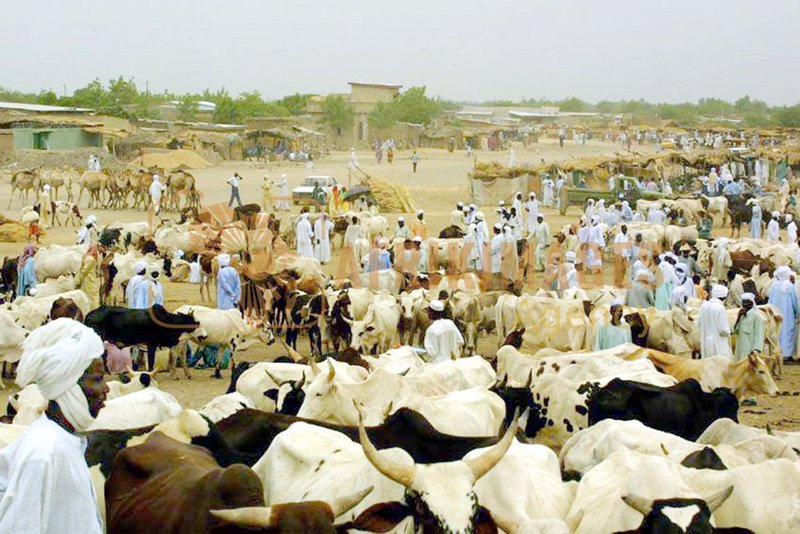 Afrikimages tchad /marchés