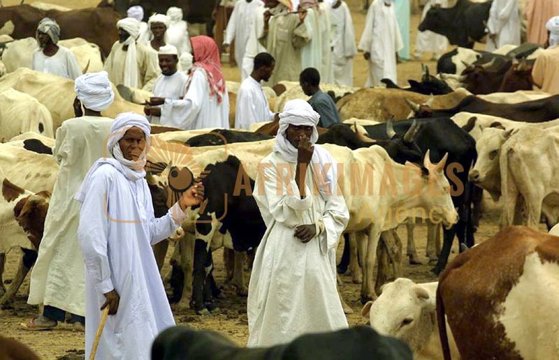 Afrikimages tchad /marchés