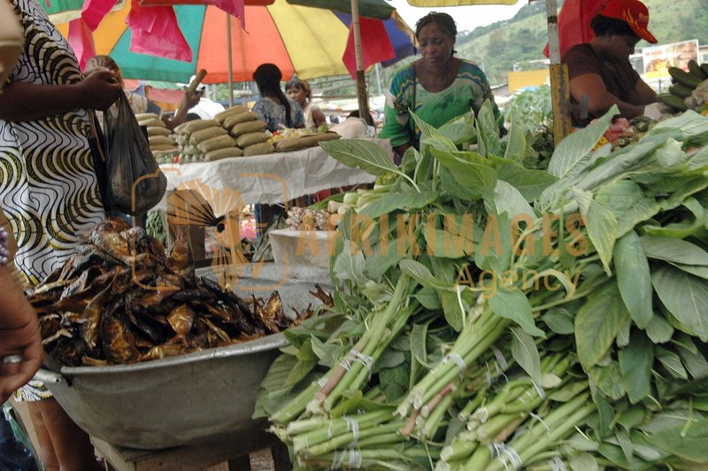 Afrikimages gabon /marchés