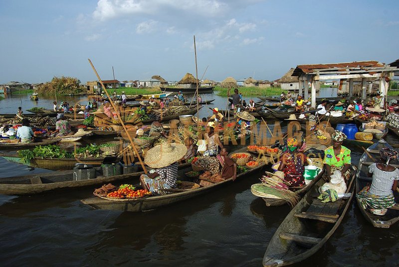 Afrikimages bénin /marchés