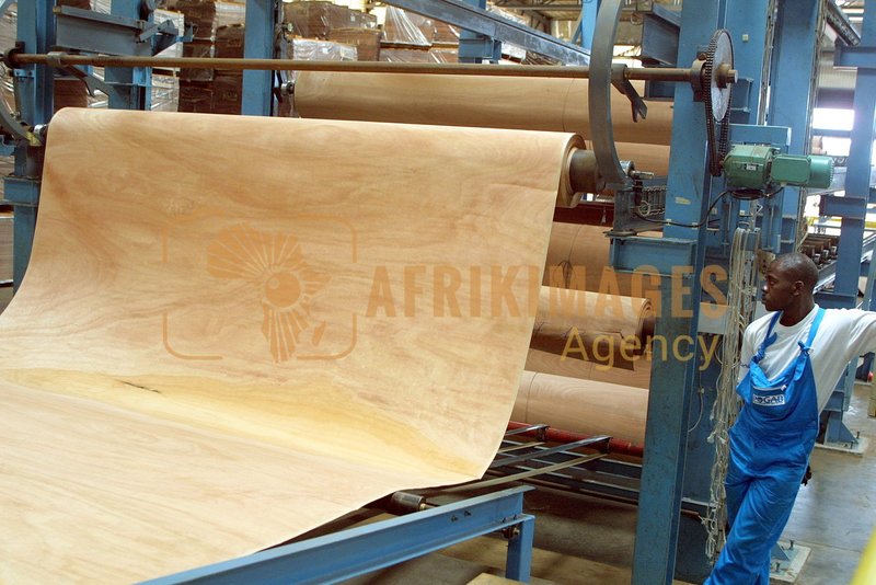 Afrikimages gabon / bois