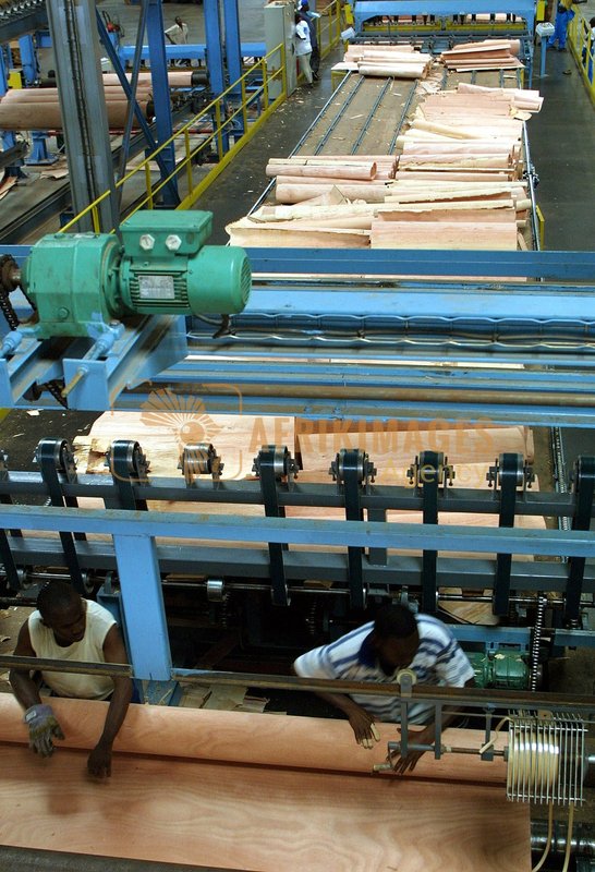 Afrikimages gabon / bois