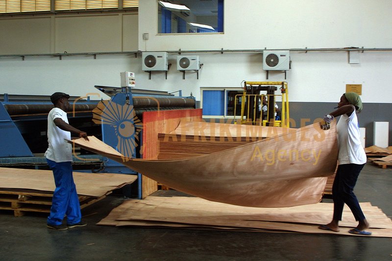 Afrikimages gabon / bois