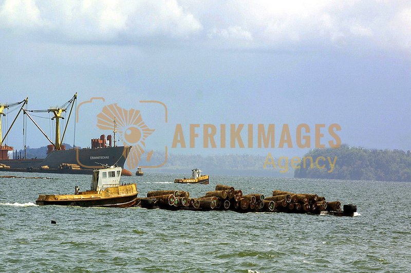Afrikimages gabon / bois