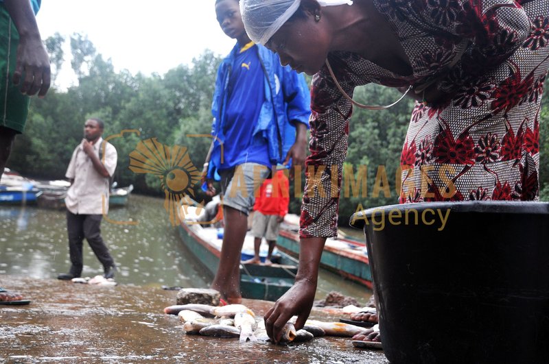 Afrikimages gabon/ pêche