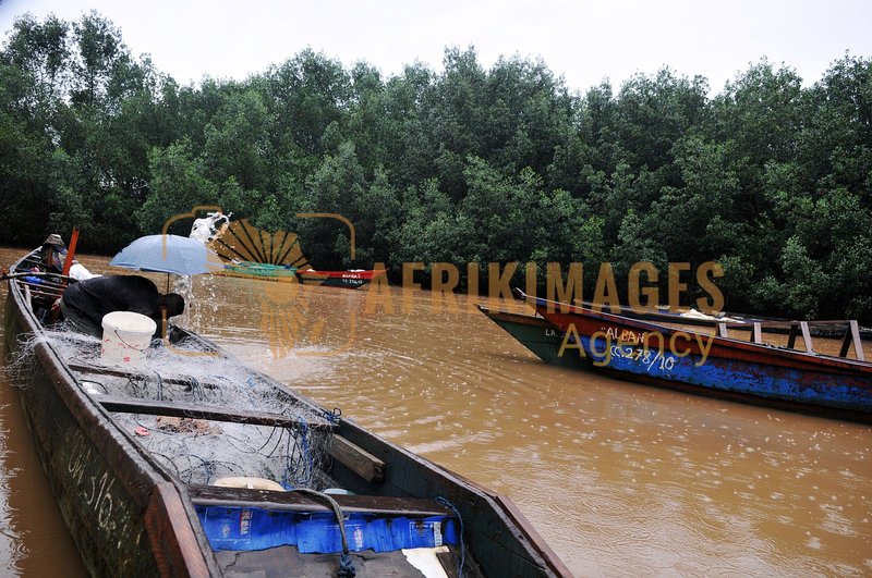 Afrikimages gabon/ pêche