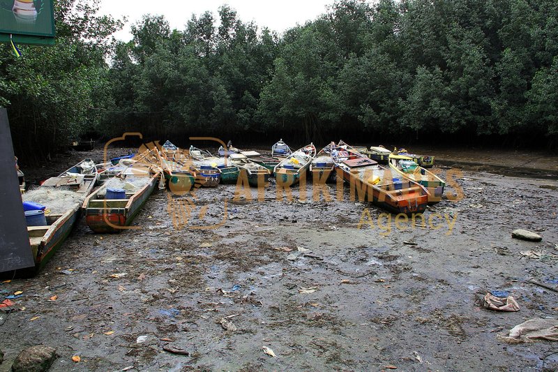 Afrikimages gabon/ pêche
