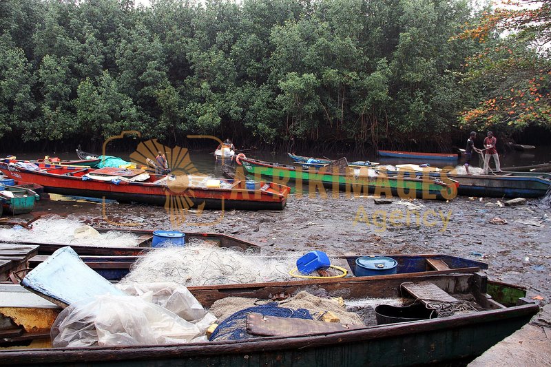 Afrikimages gabon/ pêche