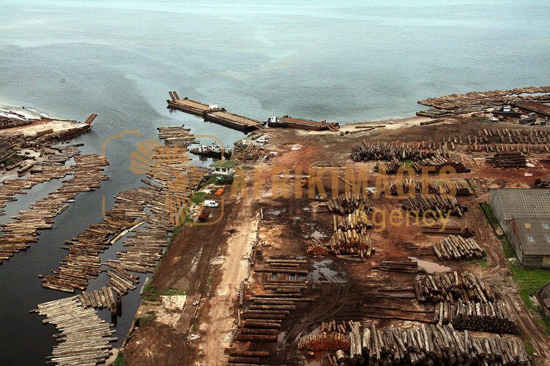 Afrikimages gabon / bois