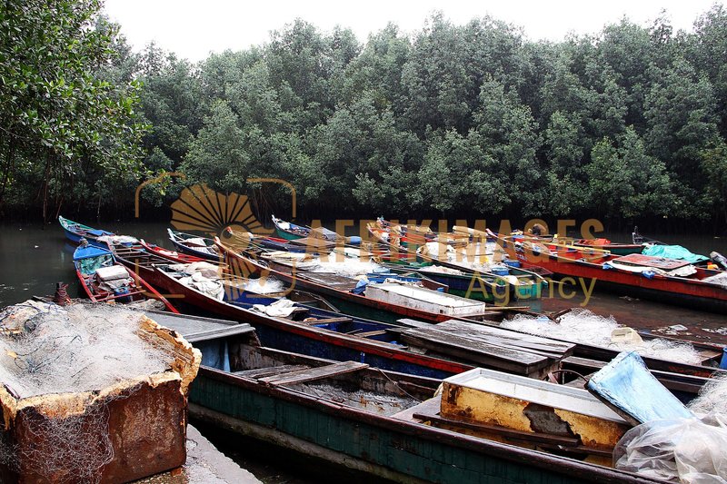 Afrikimages gabon/ pêche