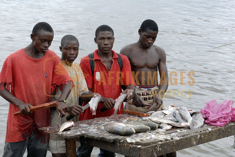 Afrikimages gabon/ pêche