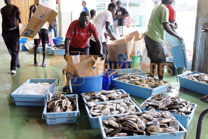Afrikimages gabon/ gabon/ pêche