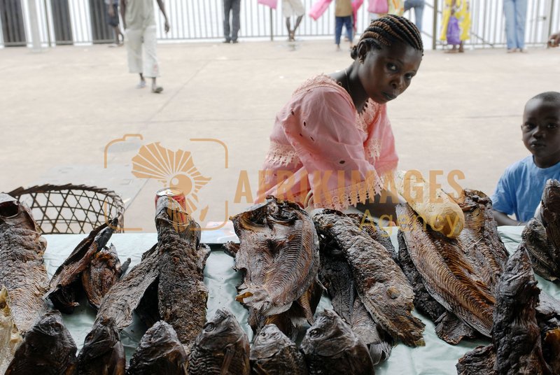 Afrikimages gabon/ pêche