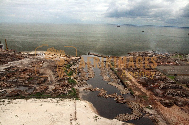 Afrikimages gabon / bois