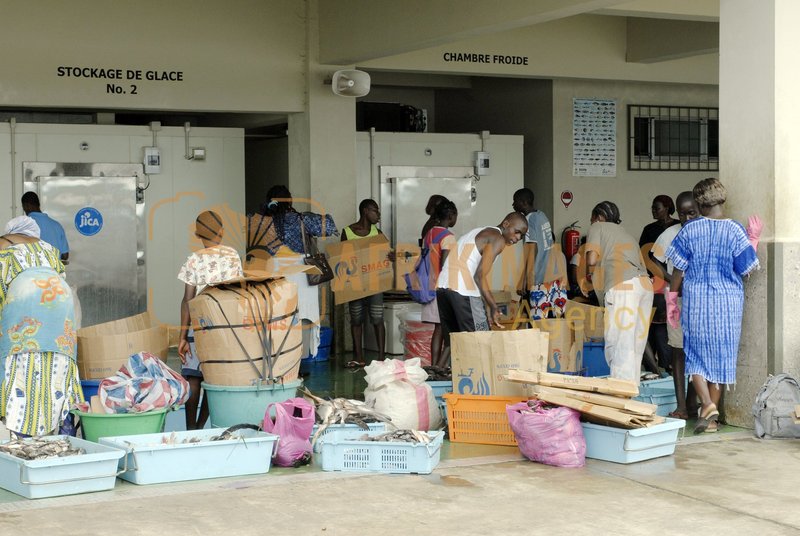 Afrikimages gabon/ pêche