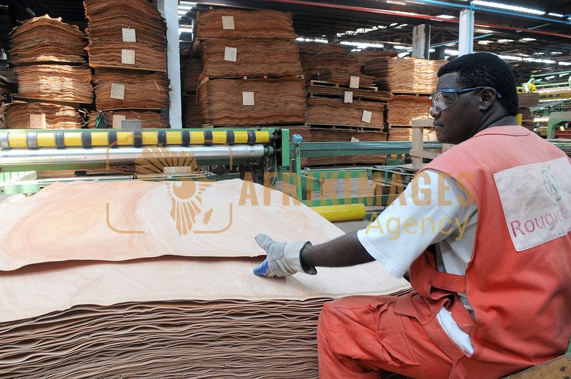 Afrikimages gabon / bois