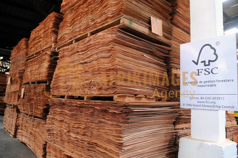 Afrikimages gabon / bois