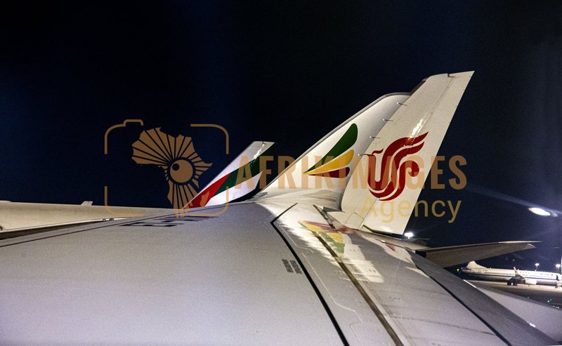 Afrikimages chine/  transport