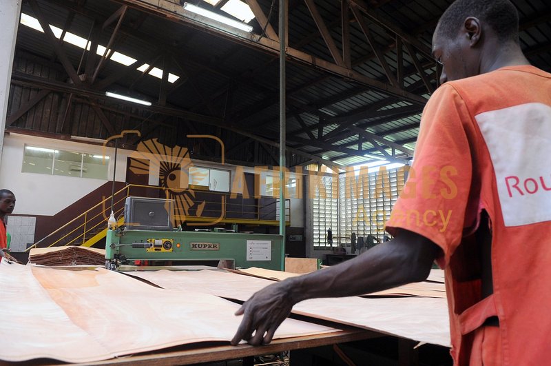 Afrikimages gabon / bois