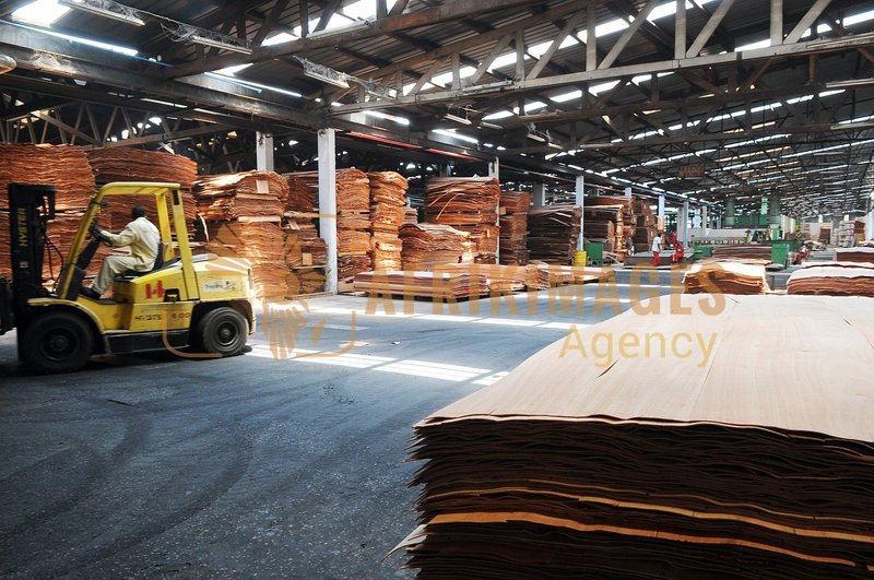 Afrikimages gabon / bois