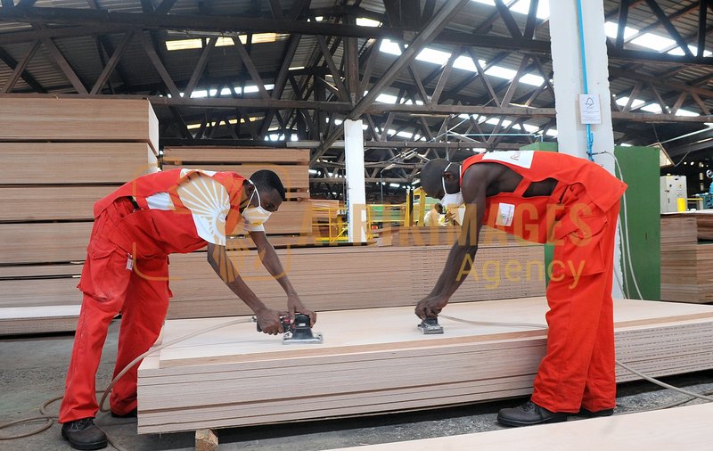 Afrikimages gabon / bois