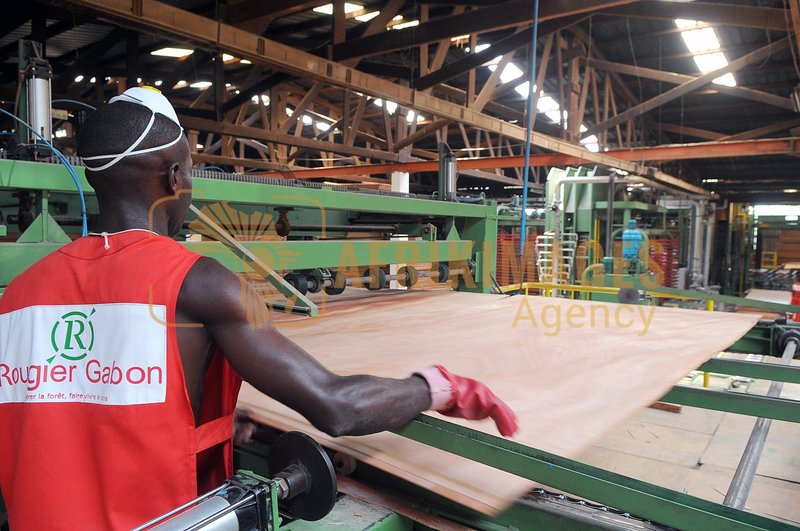 Afrikimages gabon / bois