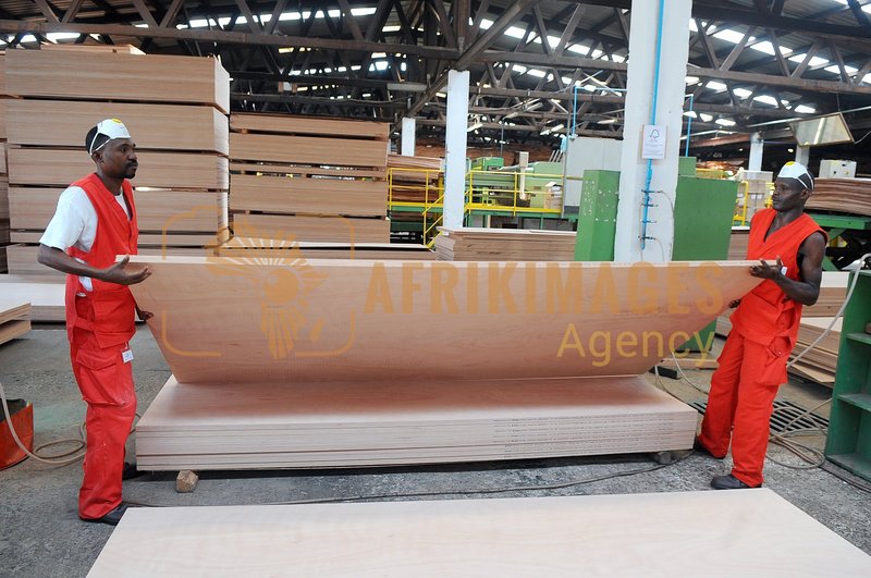 Afrikimages gabon / bois