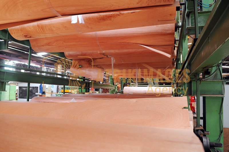 Afrikimages gabon / bois