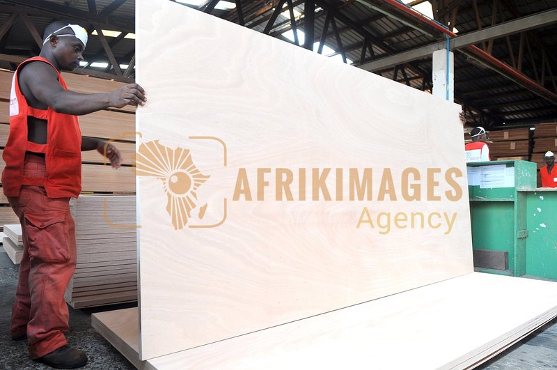 Afrikimages gabon / bois