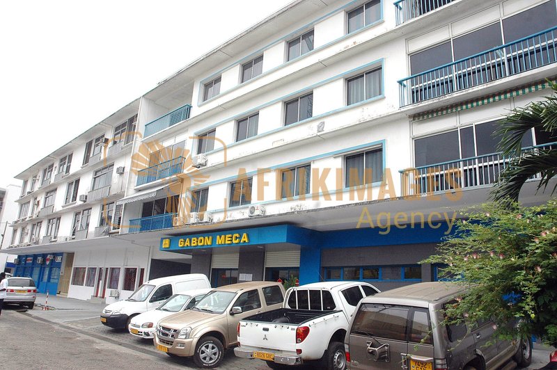 Afrikimages gabon / distribution