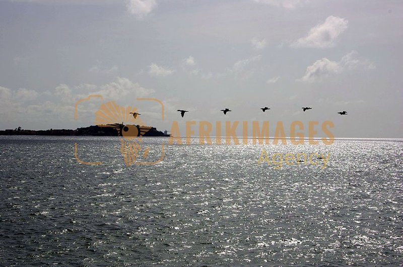 Afrikimages sénégal /  dakar